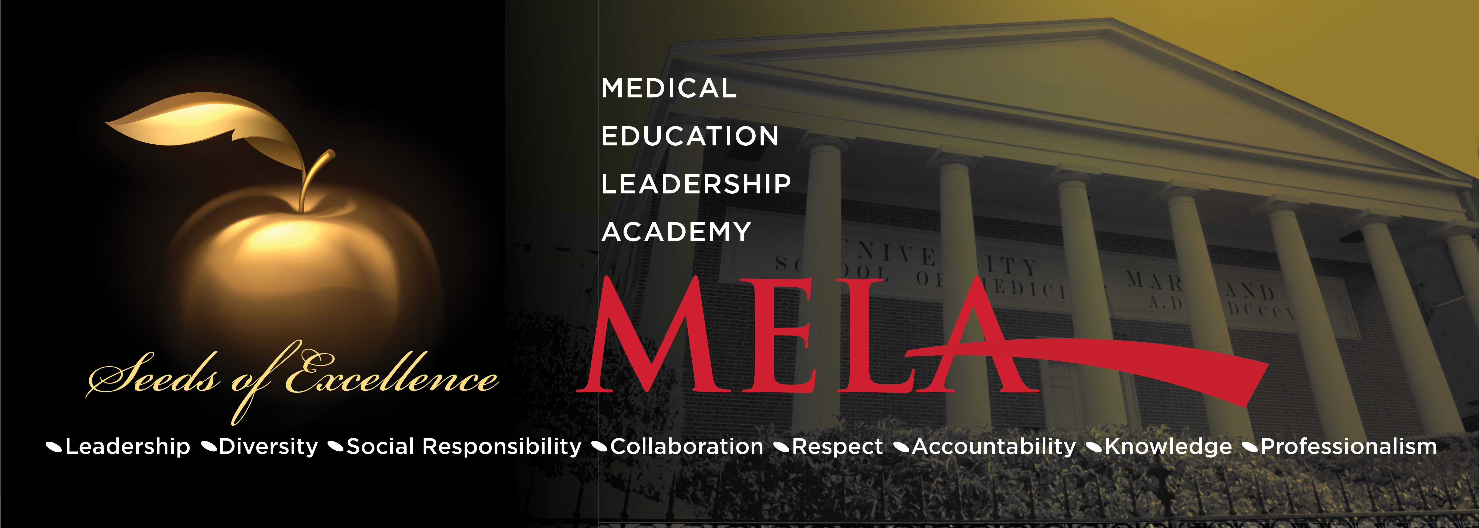Medical Education Leadership Academy