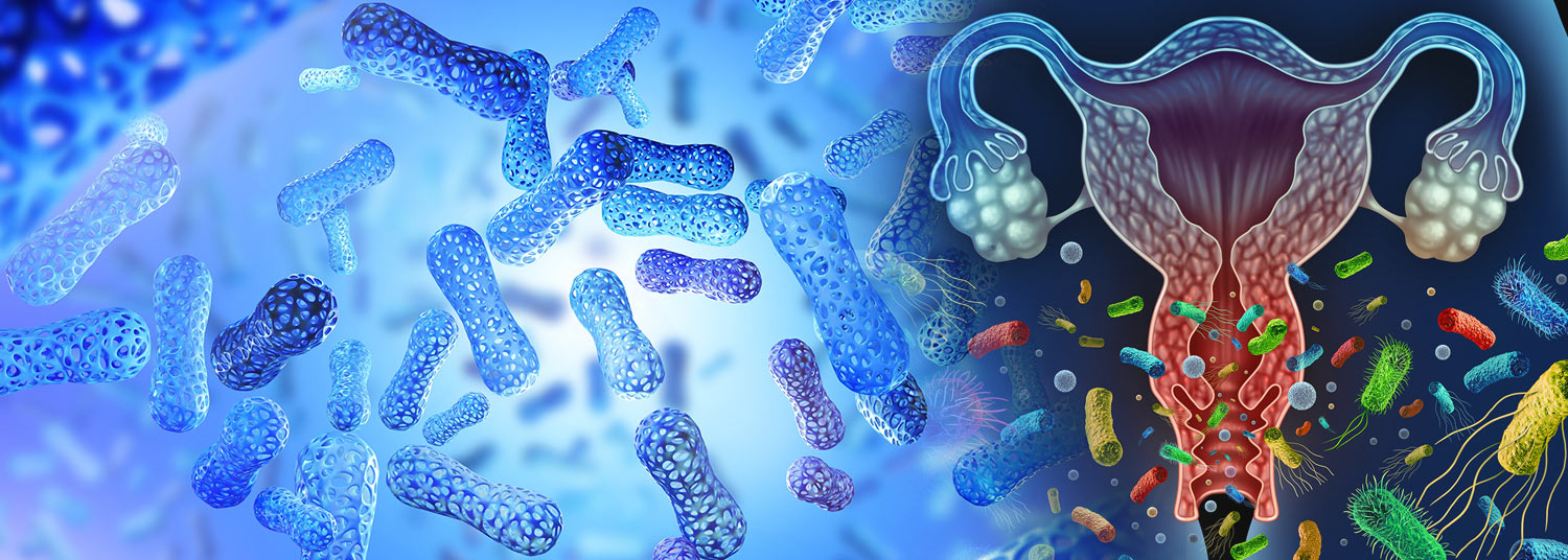 Probiotic Therapy banner