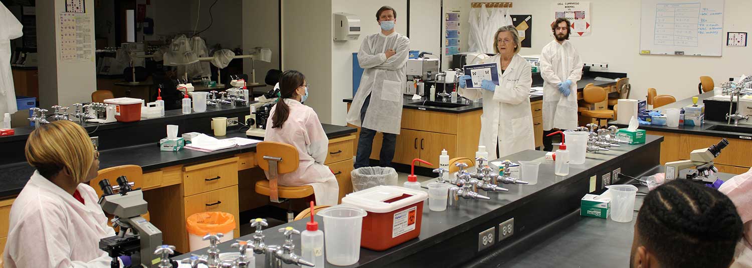 Students in lab