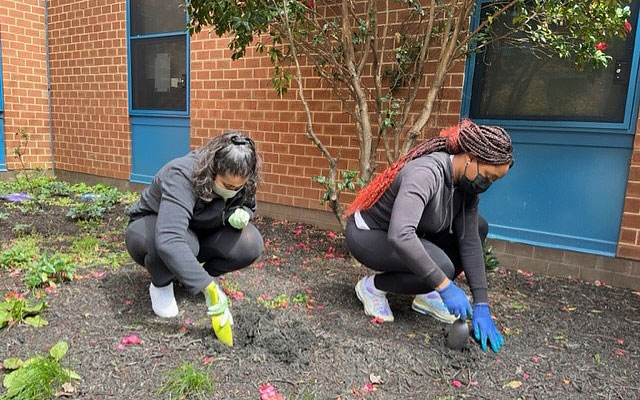 Students gardening at James McHenry School