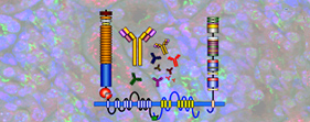 Antibody Core image