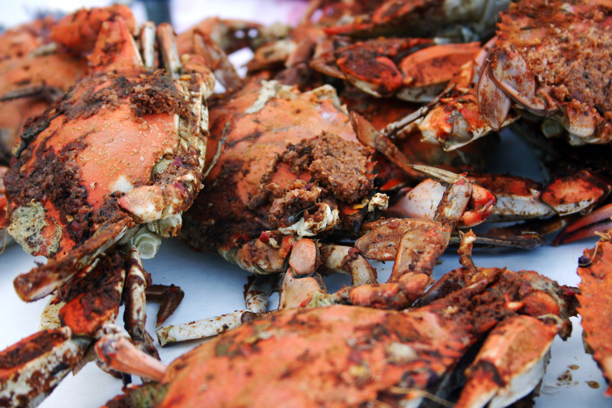 Maryland Crabs