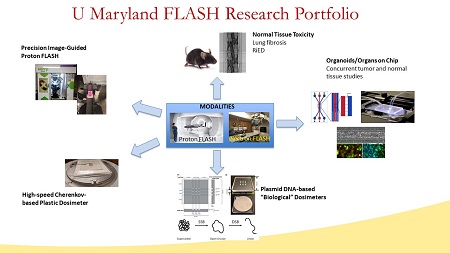 FLASH Research Portfolio