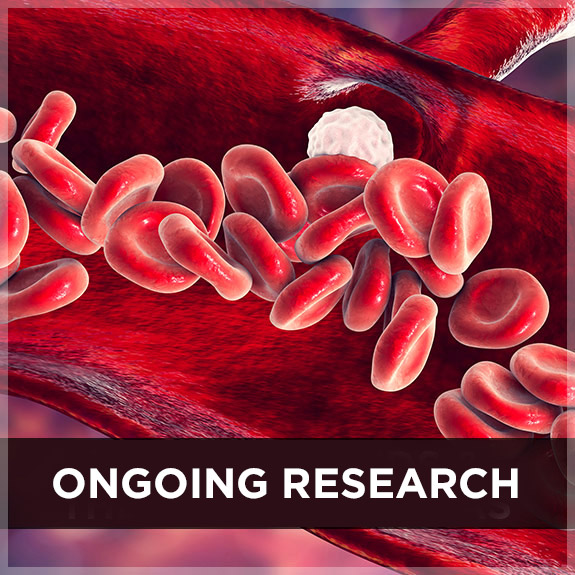 Vascular Beds and Therapeutic Areas