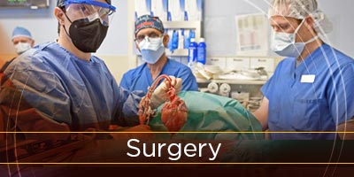 Surgery-Oncology-Residency-Button
