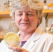 Angela Wilks, PhD