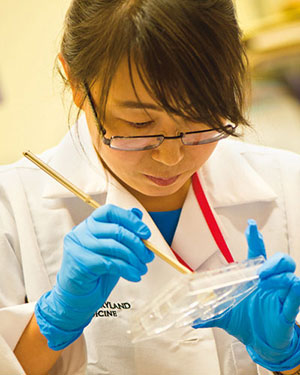 Lab technician using a stick to check a sample