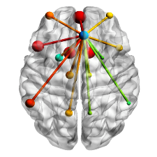 resting state network for cogmed study
