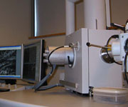 Scanning Electron Microscope