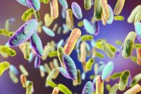 colorized EM of bacteria