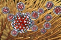 Colorized EM of flu viruses