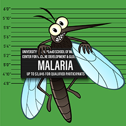 An illustration of a mosquito mug shot