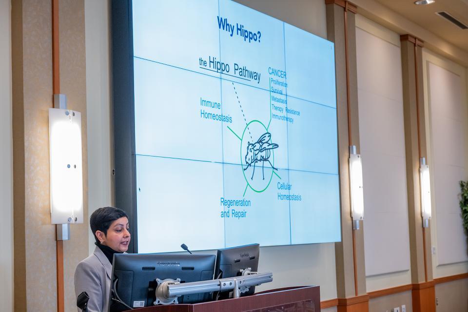 A woman gives a presentation on the Hippo Pathway