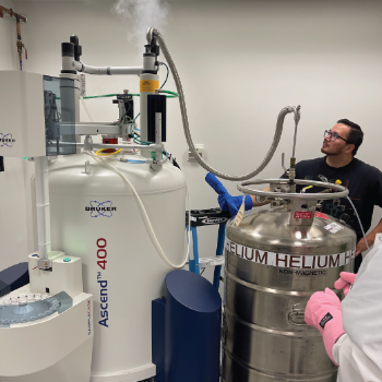 liquid nitrogen fill of NMR