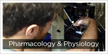 Pharm-Phys-Button