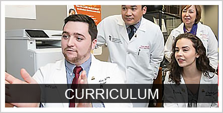 Curriculum