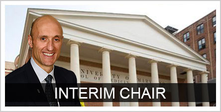 Interim Chair