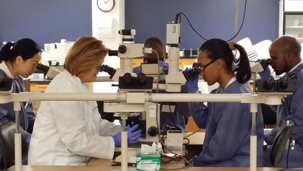 Students in Lab