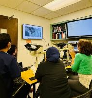 Pathology Session