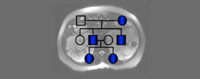 Clinical Trans Core image