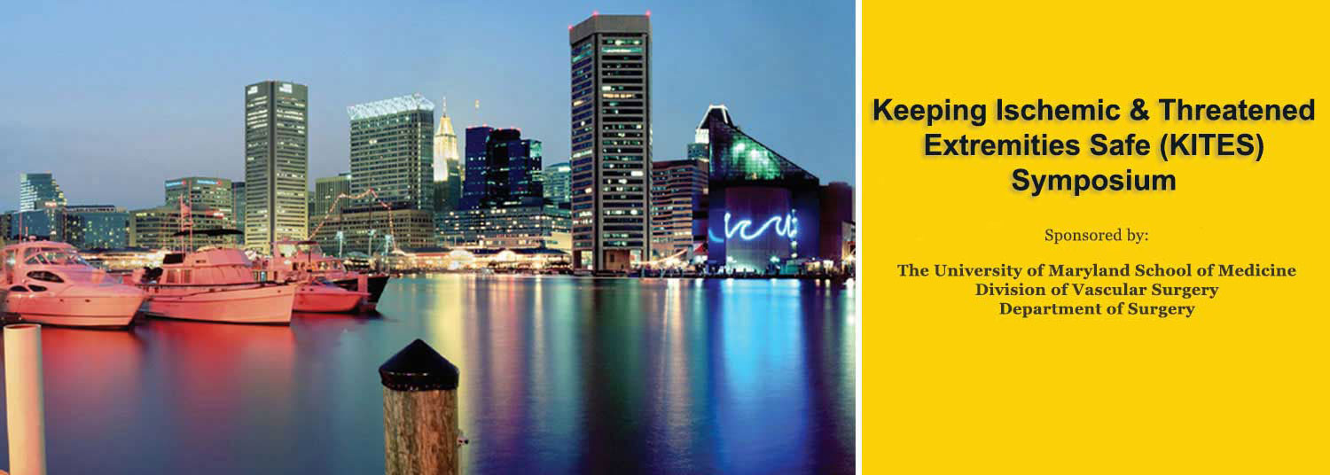 Background photo of Baltimore with KITES conference information on right