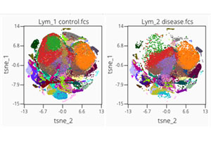 Comparison Cells