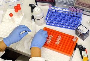 Overhead view of a table in a lab