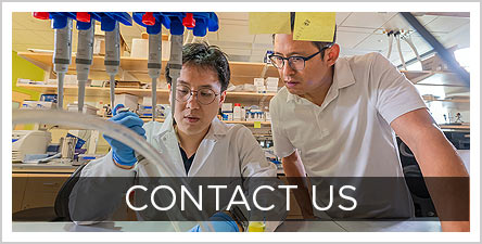 Contact-Neurosurgery-Button