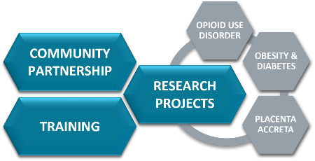 Graphic showing research components of community partnership
