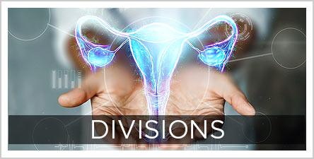 OBGYN-Divisions-Button