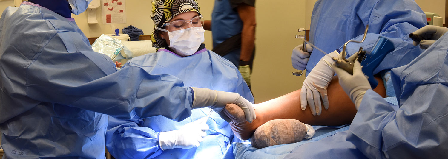 Ortho Faculty Banner