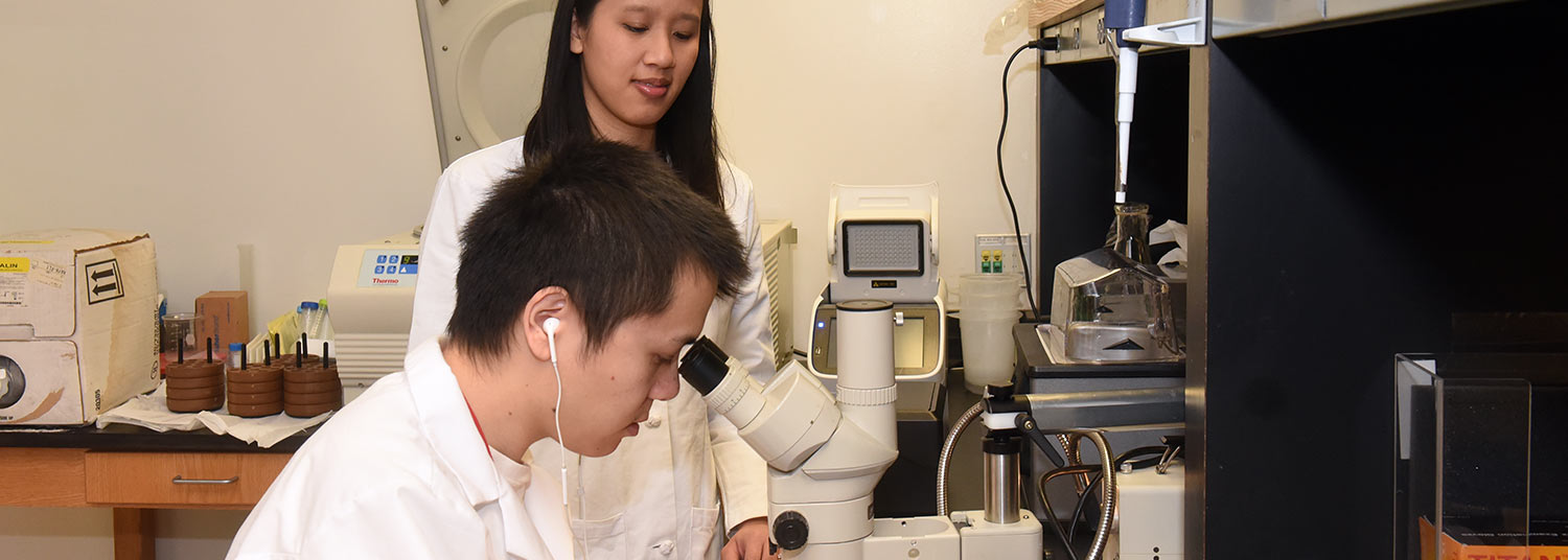 Ortho Research Banner