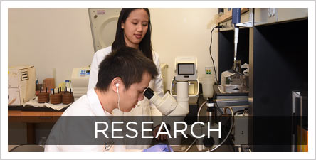 Ortho Research Button