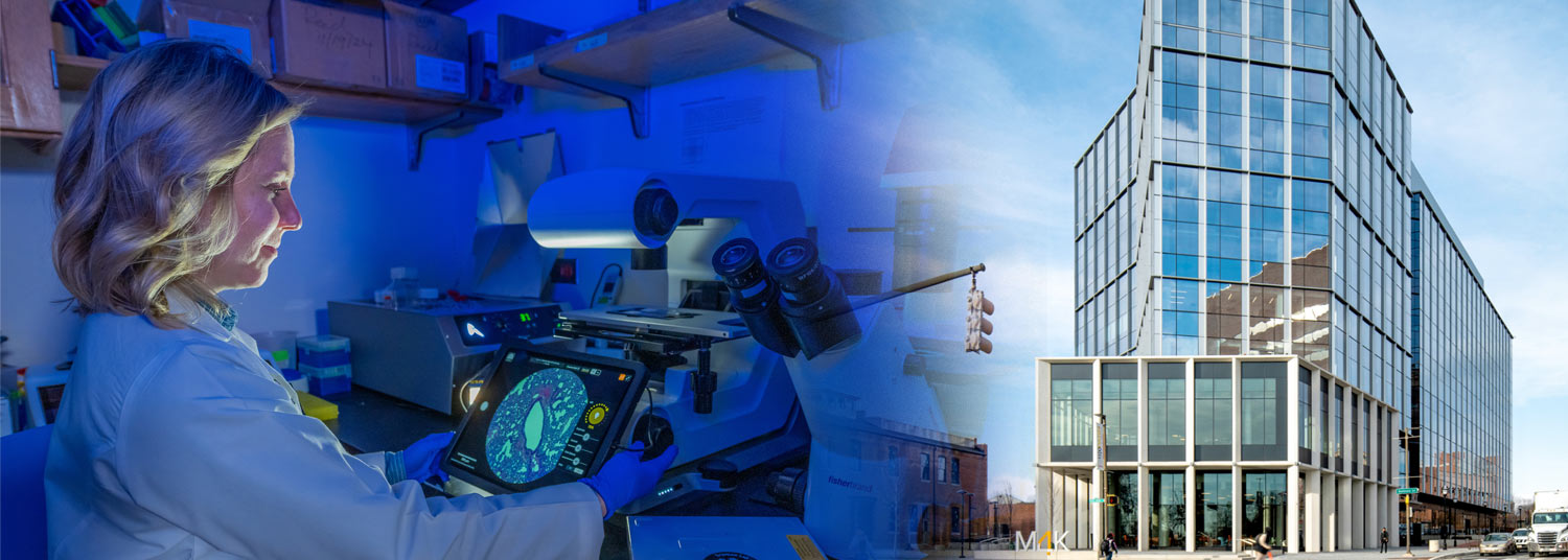 Researcher looking into microscope