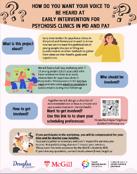 How Do You Want Your Voice to Be Heard? Study flyer