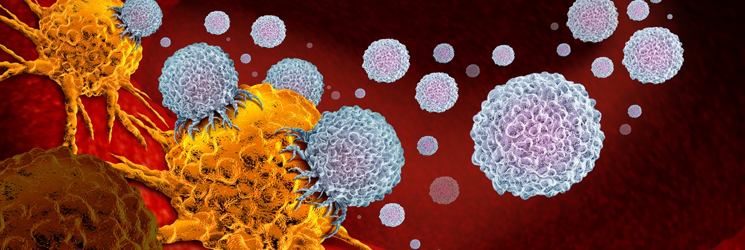 Cancer cells with immune cells