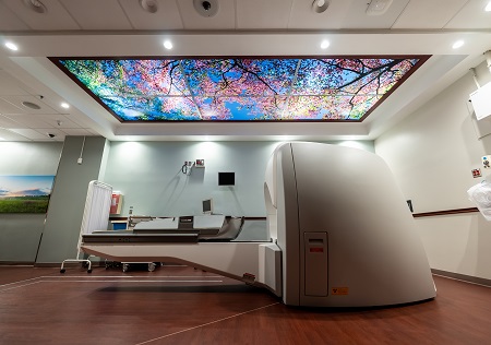 Gamma Knife