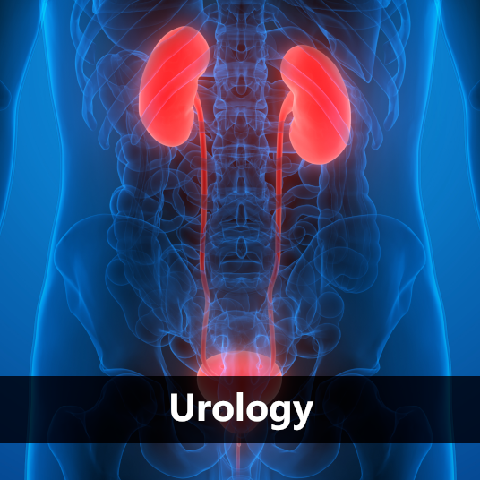 Urology