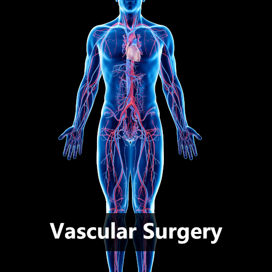 Vascular Surgery