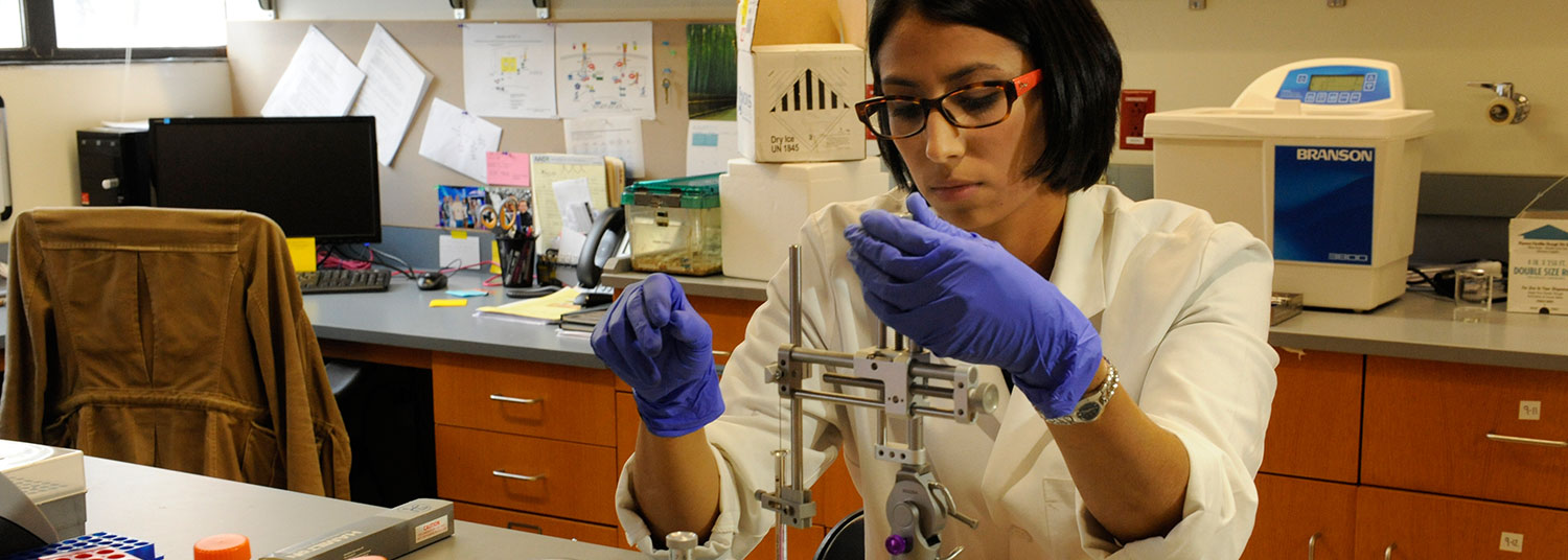 Graduate Education banner