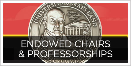 Faculty Professorships Button