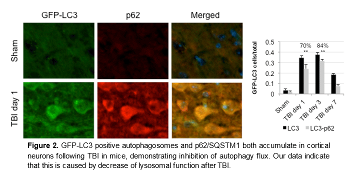 lipinski-2