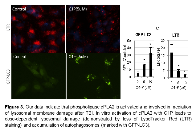 lipinski-3