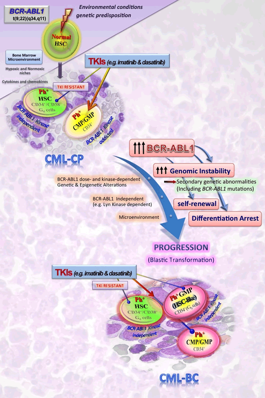 Environmental conditions genetic predisposition