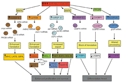 Danilo Perrotti faculty profile graphic 2 thumbnail