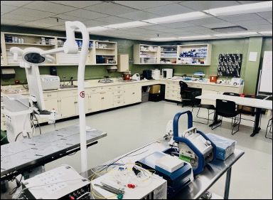 Picture of Lab