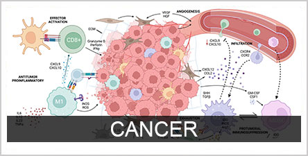 Cancer button