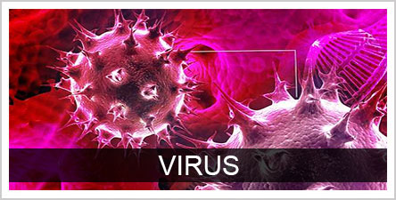 Virus Button