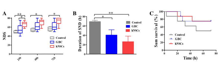intranasal delivery of stem cell therapy for brain injury after cardiac arrest