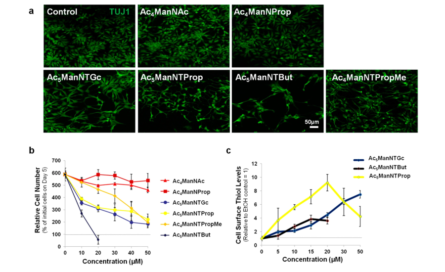 Thiol-modified ManNAc analogs